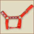 Miniature Donkey Halter Online Sale