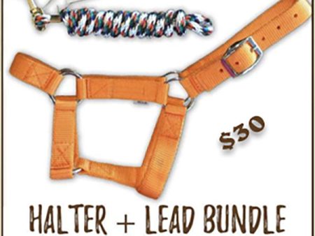 Halter + Lead Bundle For Sale