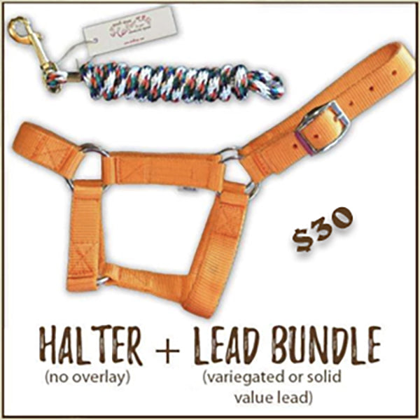 Halter + Lead Bundle For Sale