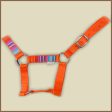 Miniature Donkey Halter Online Sale