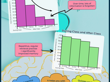 How to Beat the Forgetting Curve Fashion