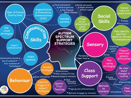 Autism Spectrum Support Strategies Online Sale