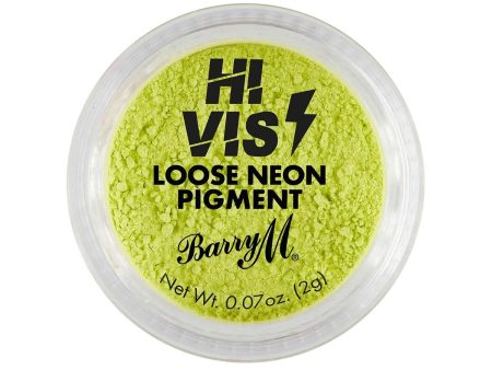 Hi Vis Neon Loose Pigment | Static Supply