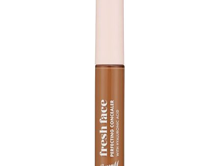 Fresh Face Perfecting Concealer | Shade 15 Sale