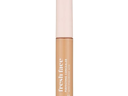 Fresh Face Perfecting Concealer | Shade 6 For Sale