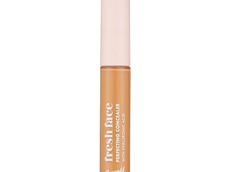 Fresh Face Perfecting Concealer | Shade 9 Supply