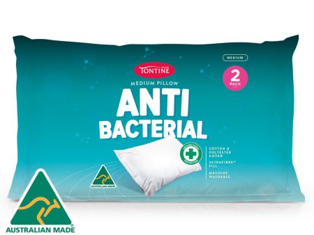 Anti Bacterial 2 Pack Pillow Cheap